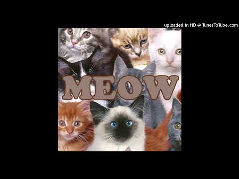 cats millionaire - meow ep