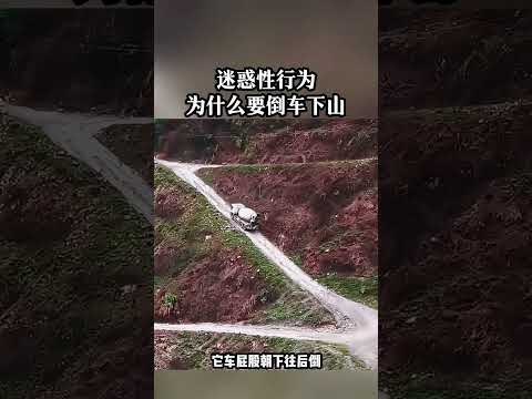 這比日本那個豆腐老的下山技術還好！ #十萬個為什麼 #高手在民間 #搞笑 #車