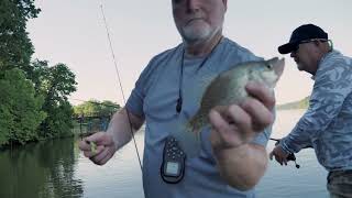 Video thumbnail 3
