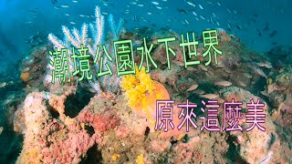 潮境公園 | 潛水 | 潛水旅遊 | fundive | 潛伴