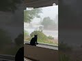 Cat unfazed by monsoon in Arizona