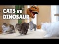 Cats Vs Dinosaur Kittisaurus