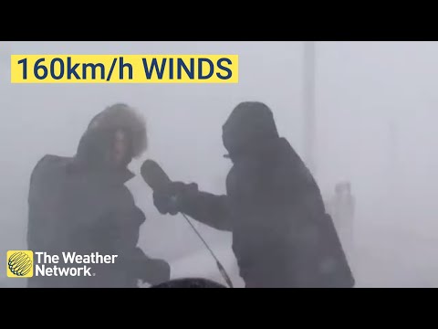 Reporters blown off by 160km/h winds during live blizzard in Nova Scotia Video