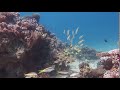 Scuba World Divers Makadi Bay, Scuba World Divers Makadi Bay, Ägypten, Hurghada