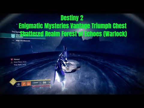 Destiny 2 - Enigmatic Mysteries Vantage Triumph Chest - Shattered Realm Forest of Echoes (Warlock)