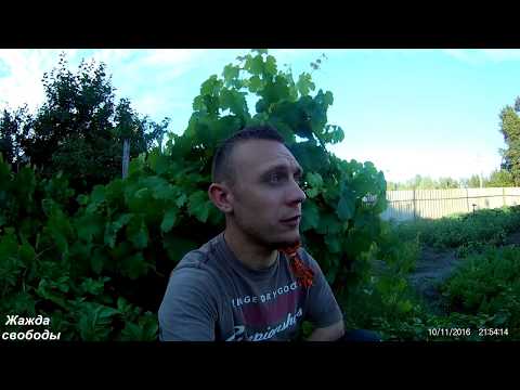 Превью УкрТур 2