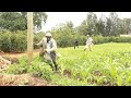 WAZEE WACHOKOZI WAKIPONEA VITA WAZEE WA GITHIORO PART1