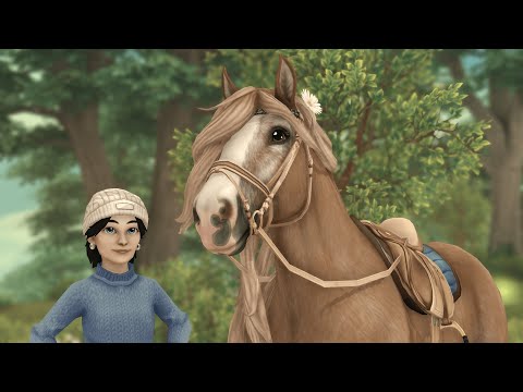 Buying the Black Forest Horse