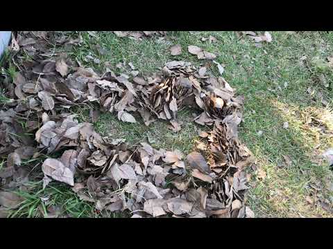 114. Omul isi este lui insusi dusman. Ilie Cioara