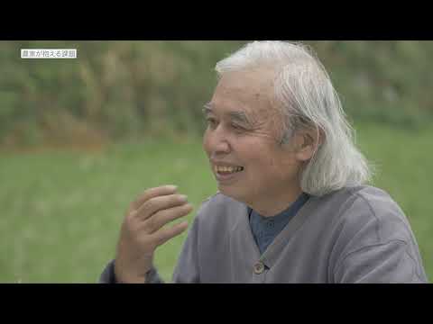 芝生や庭でカタバミと戦うにはどうすればよいですか？有機栽培についての誠実な答え!  庭園