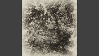 Untitled 2