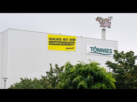 Greenpeace-Protest bei Tönnies: „Schluss mit dem Schweinesystem“