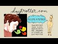 Nik Freitas - What You've Become - Daytrotter Session