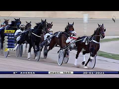Aversa trotto 30 Gennaio 2021 - 8° Corsa