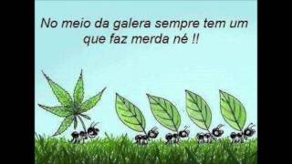 Cone Crew Diretoria - Relíquia