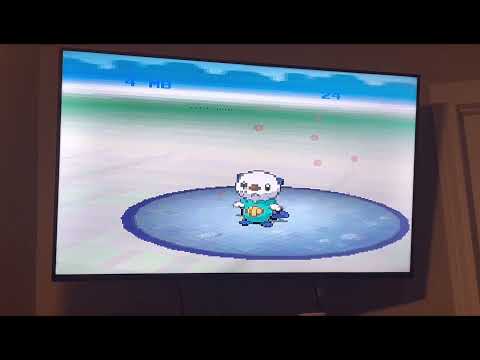 Pokémon White 2’s first battle running on DeSmuME X v0.87.