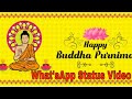 Happy Buddha Purnima WhatsApp Status Video Download 2020 Wishes Quotes