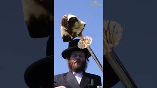🔥 האדמו״ר מטשארנוביל בהדלקה במירון | Chernobyl Rebbe in Meron 🔥