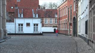 OmegaX Fallen from Grace