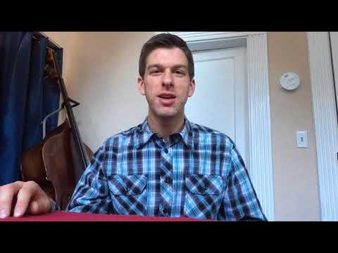 Double Bass Rant #4 - "Talent Or Work Ethic" - Darren Sacks