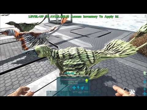 Ark Mod Review: Confuciusornis