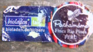 Hallo Venray  &#39; Orange&#39;