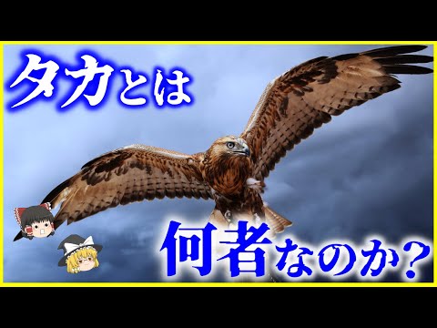 IUCN分類における絶滅の危険性を示す図。