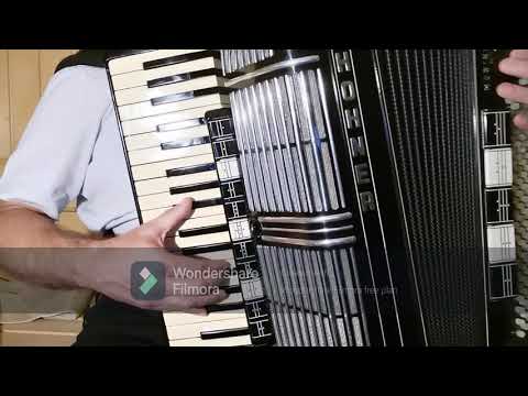 Prehitro mimo je mladost 🤷‍♂️#Avsenik #BorisLah #Slovenija #oberkrainer