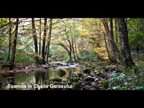 Selectie poze din Caras-Severin