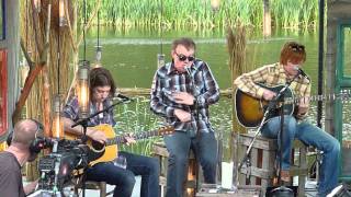 Edwyn Collins - A Girl Like You