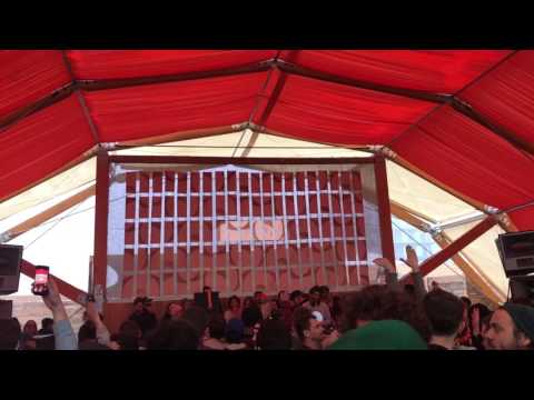 Lamache @ sunwaves 21