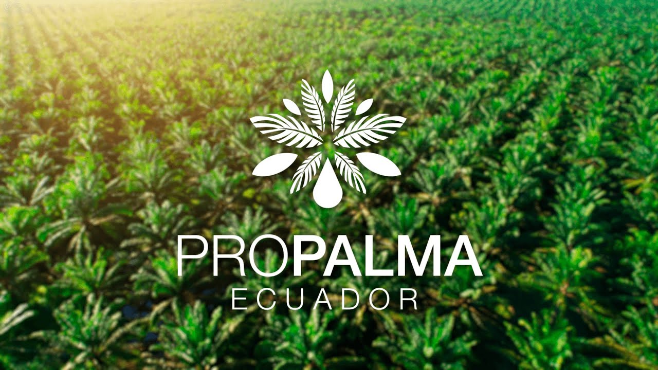 Por Ti Somos Propalma