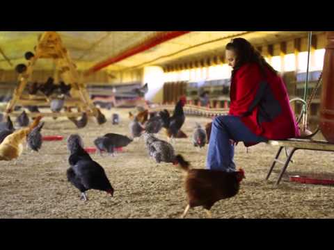 Farmers Under Contract: The Crutchfields