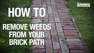 How to Remove Weeds from Brick Pavers - Bunnings Warehouse