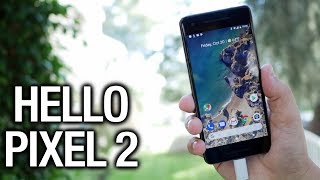 Google Pixel 2: A Fantastic First Impression