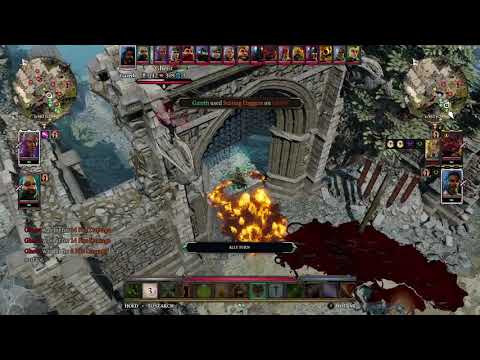 DIVINITY ORIGINAL SIN II: HOW TO get Gareth to fight Alexander (2024)