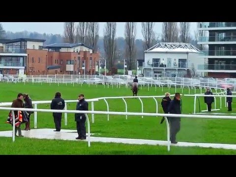 Denman parading before The Denman Chase, Newbury Racecourse 13/02/2016