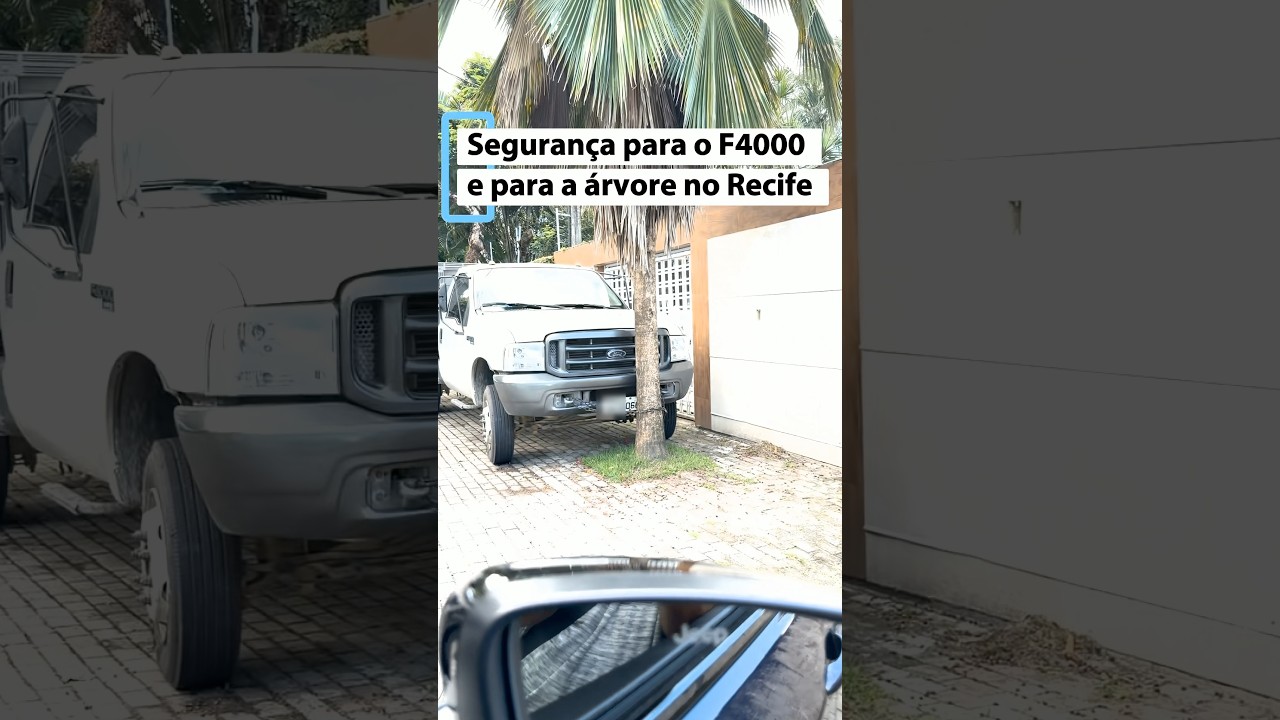 JÁ VI AMARRAR UMA BICICLETA MAS UM CAMINHÃO EM UMA ÁRVORE SÓ NO RECIFE.
