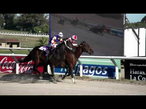 210730 c08 - MACHIAVELLO - HIPODROMO LAS PIEDRAS