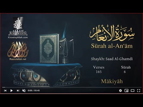 Quran: 6. Surah Al-An`âm /Saad Al-Ghamdi  / Read version / (The Cattle): English translation