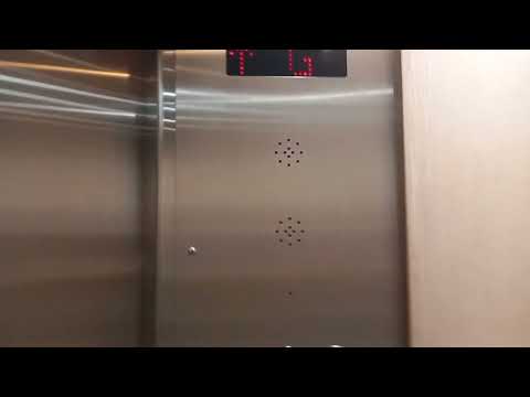 Rare in QLD: Johns Perry Mipro-Log (mod. OTIS) Traction Elevators at 46 Edward Street, Brisbane, QLD