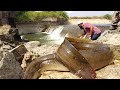 Fish Hunting||Baam fishing||Awesome fishing video||Unique fishing||indian eel fishing