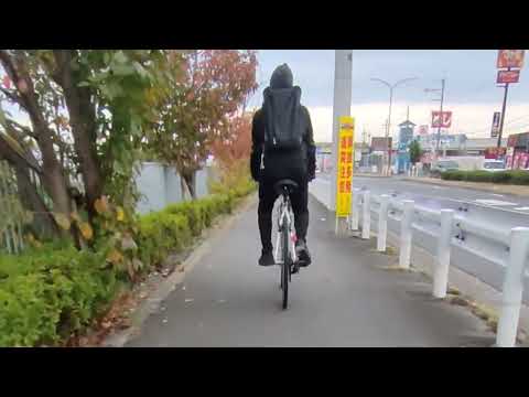 Japan Vlog - Bike Ride in the Country Side of Japan