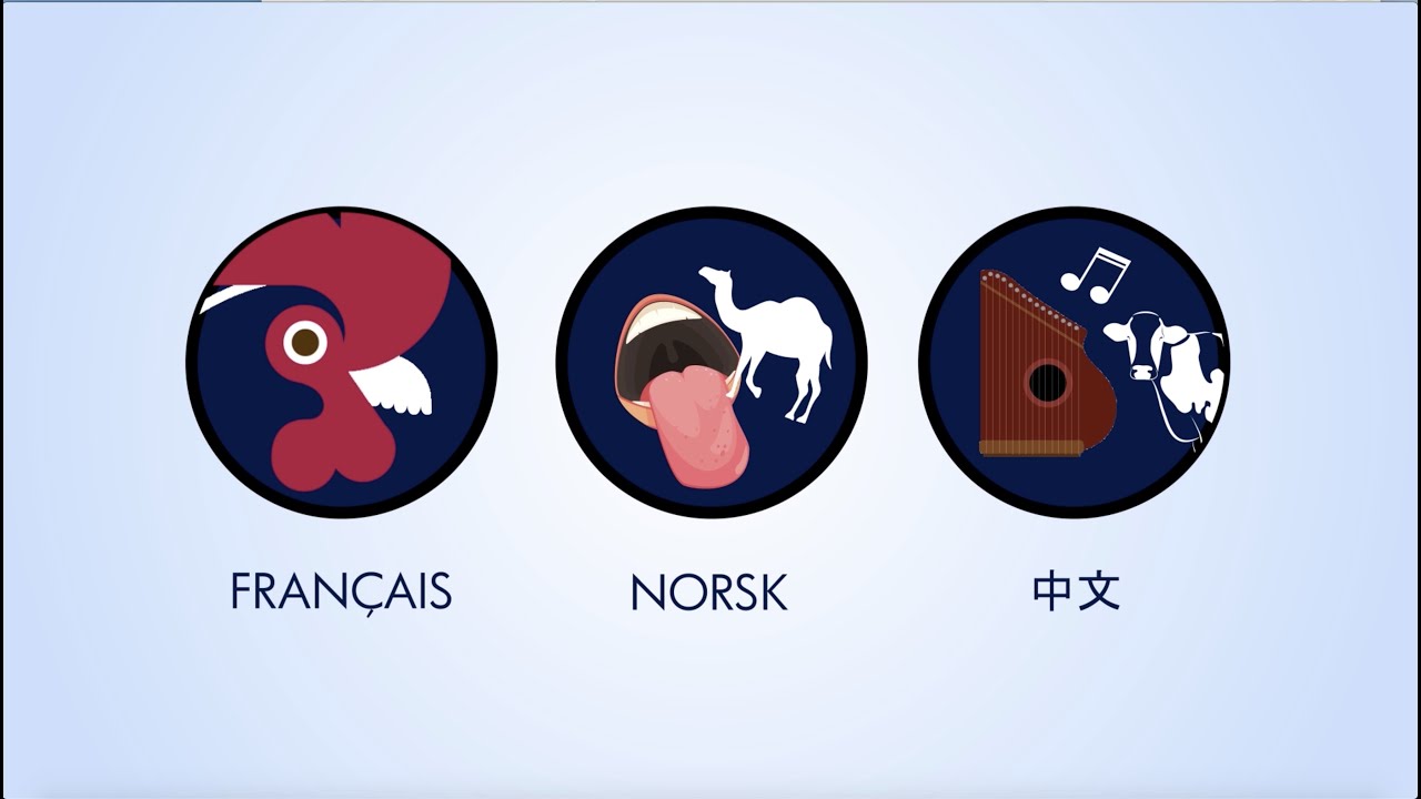 Translating Idioms and Culturemes