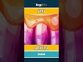 jelly - gelatina video thumbnail