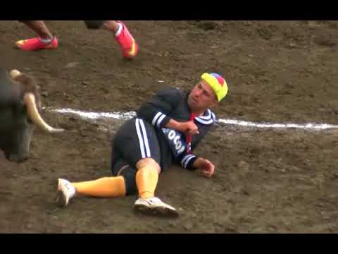 🐮🐮 ¡Los mejores levantines! Toros de Zapote por Multimedios