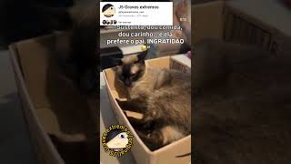 "Sustento, dou comida, dou carinho... e ela prefere o pai. INGRATIDÃO