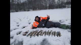 Рыбалка в островского района псковской области