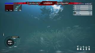 Bassmaster Fishing 2022