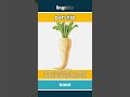parsnip (noun) - definition and usage in English
